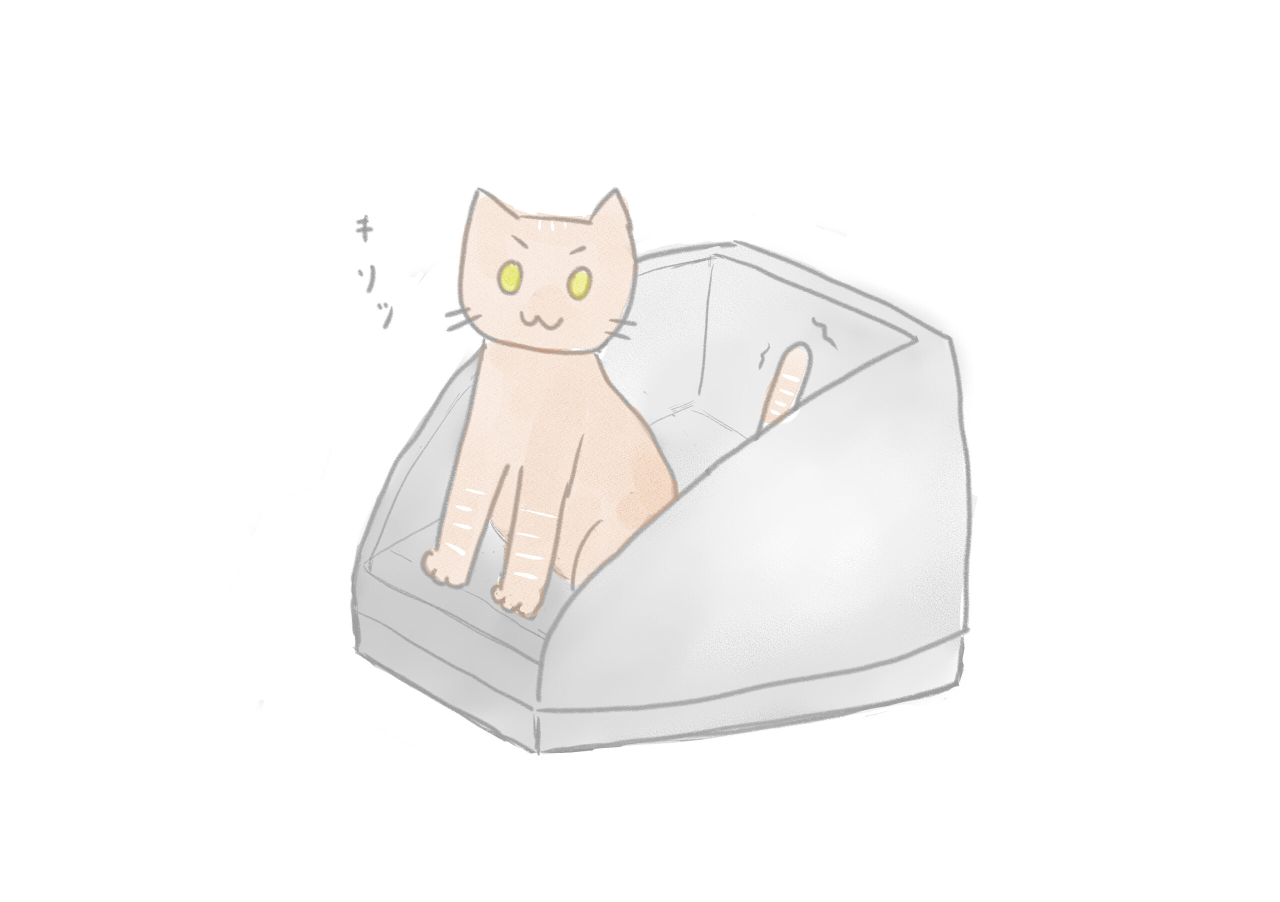 おすすめ猫用品＃１ カメラ付き猫トイレToletta(トレッタ) - 八猫王国